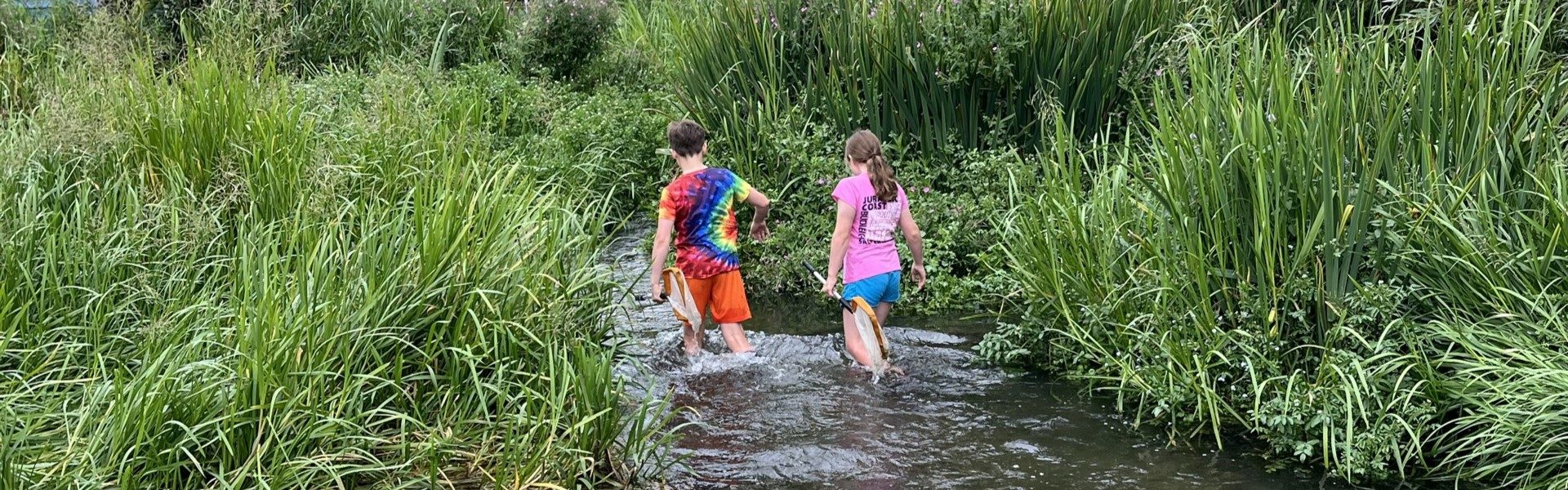 Update on Chesham Moor