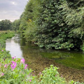 Comparing methods of nutrient analysis