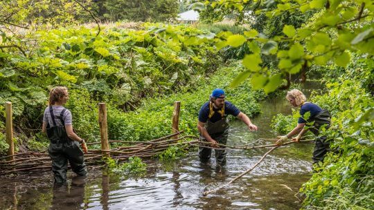 Celebrating the launch of our new River Chess Chalk Streams Catchment Plan