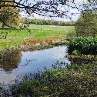 First annual Riverfly newsletter