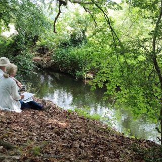 Sharing Chess Citizen Science