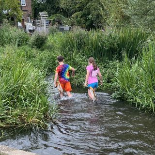 Update on Chesham Moor