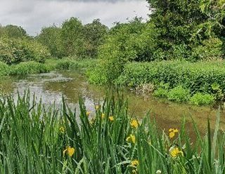 Riverfly Annual newsletter – 2025